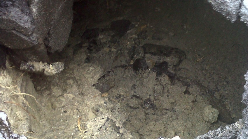 WMAQ_000000017289217_1200x675_662795331608.jpg