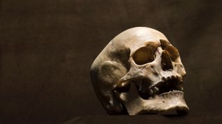A file image of a human skull, courtesy of Getty images.