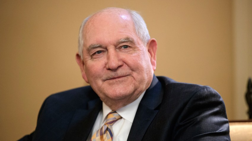 Senate Agriculture Secretary