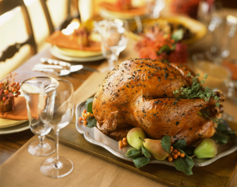 Thanksgiving Generic Turkey
