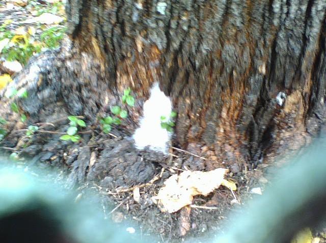 51287411SW0022_Drew