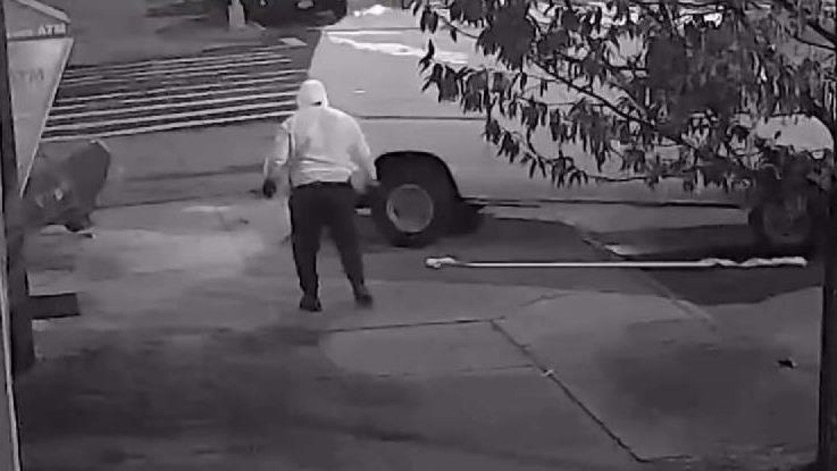 Video Shows Thieves Use Van To Steal ATM in Queens – NBC New York