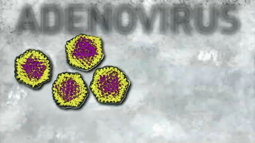 adenovirus nbc 4