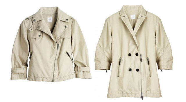 alexander-wang-gap