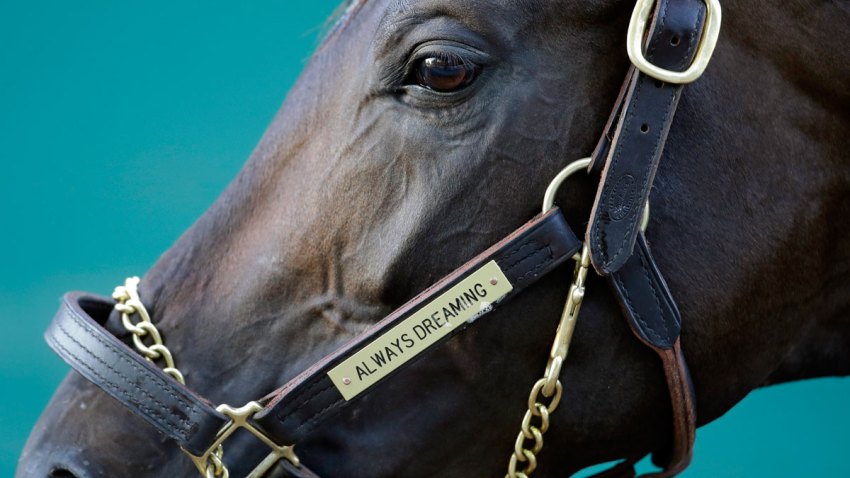 Preakness Stakes Horse Racing