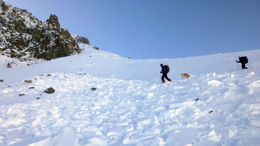 Montana Avalanche Death