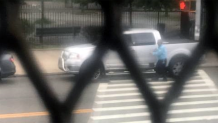 bronx animal cruelty 1