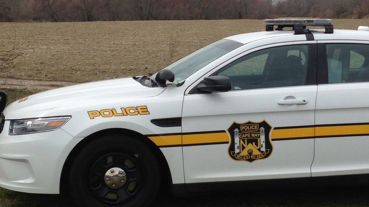 NJ mother, grandma accused of abusing child with shock collar for canines NJ mother, grandma accused of abusing child with shock collar for canines