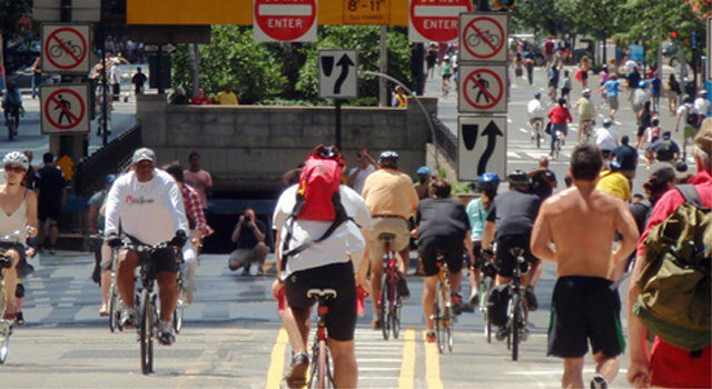 carfree11