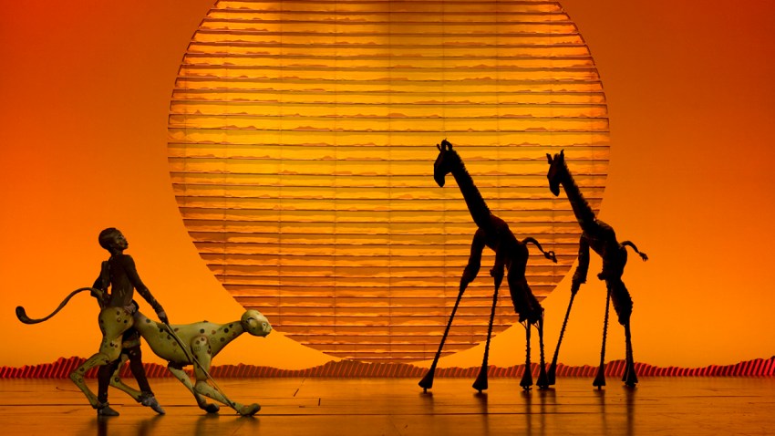 circle of life