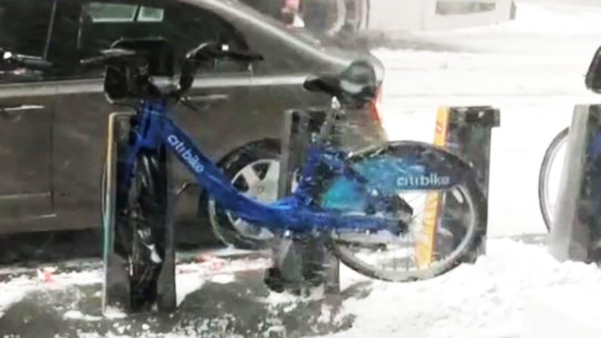 citibike for web