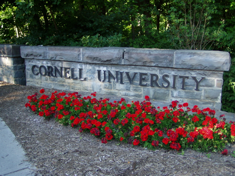 outlook cornell sign in