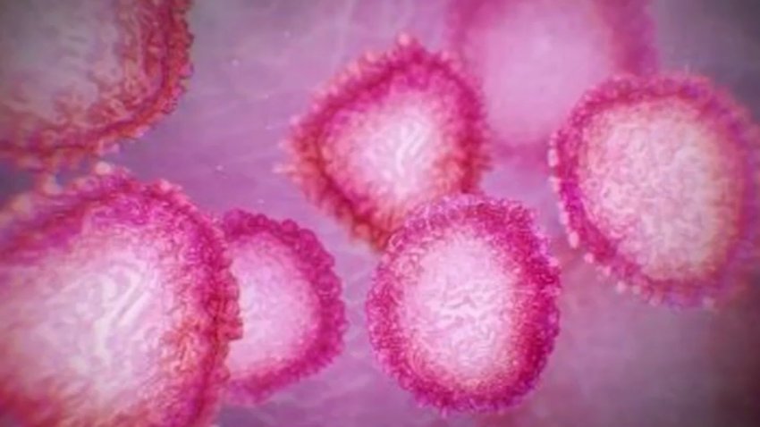 Coronavirus cells.
