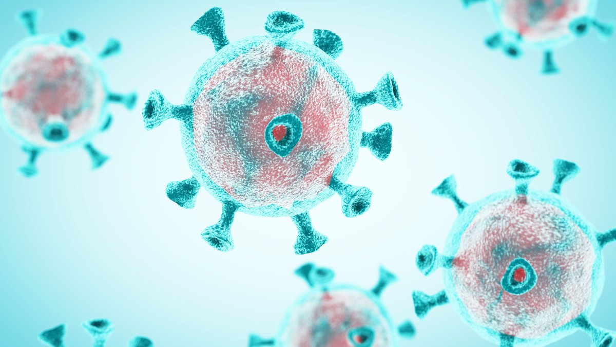 What You Need to Know About New York’s ‘Monumental’ Contact Tracing