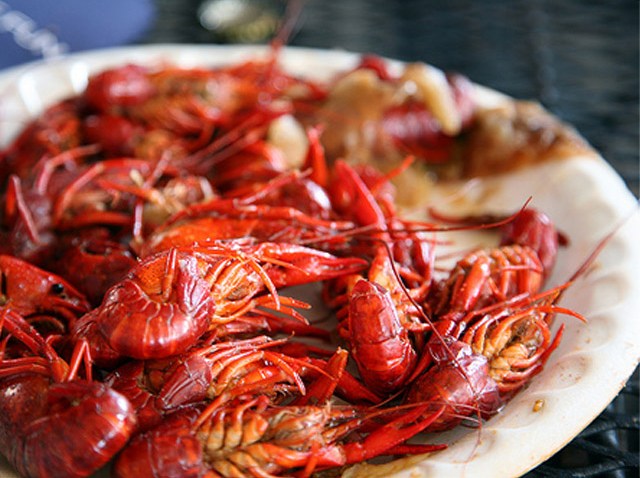 crawf22