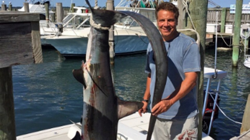 cuomo shark