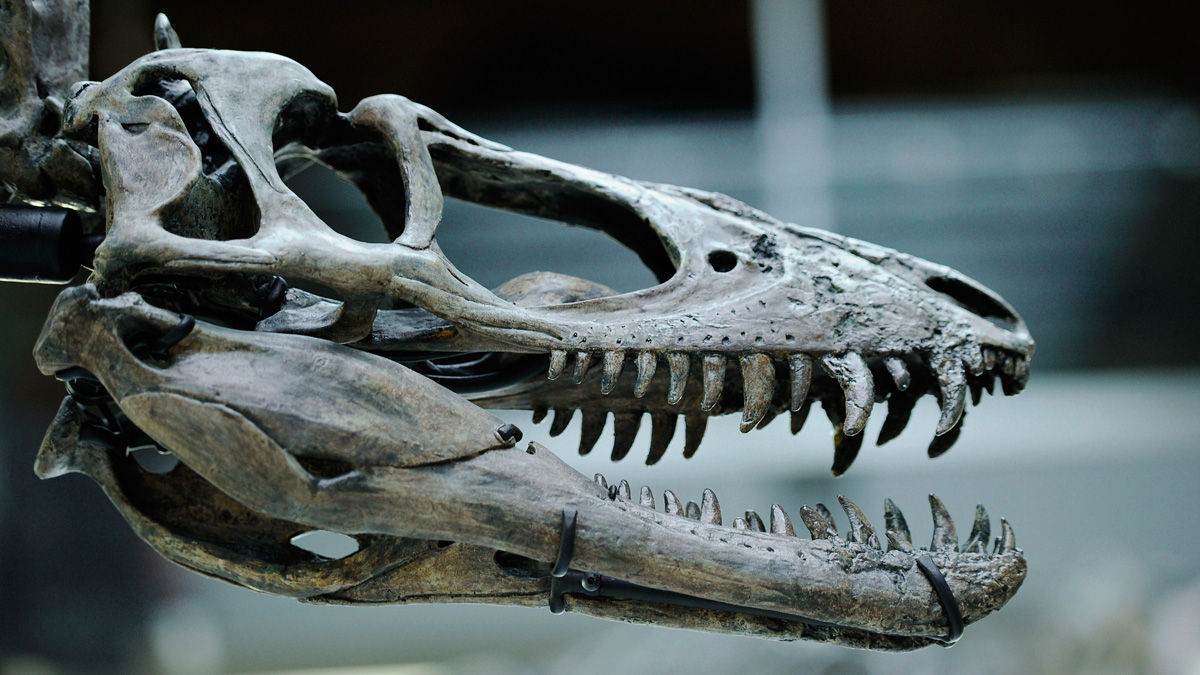 new dinosaur exhibit