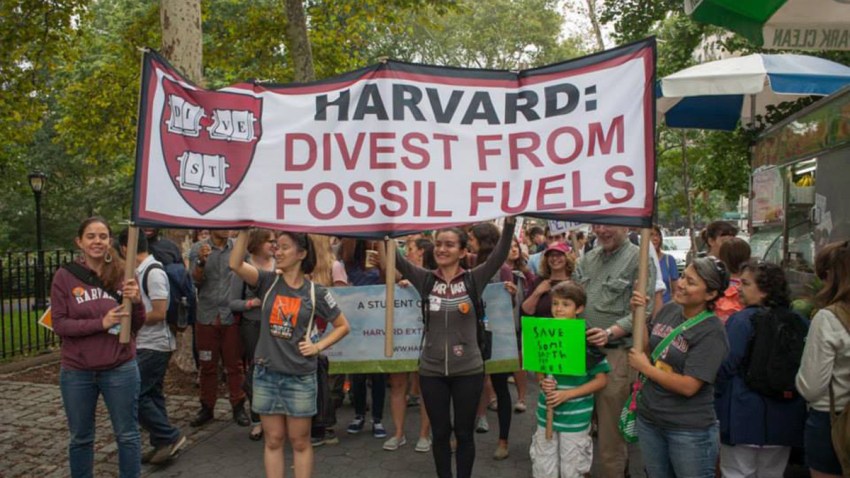 divestharvard