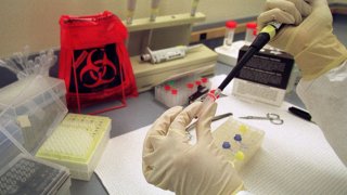 dna-forensics