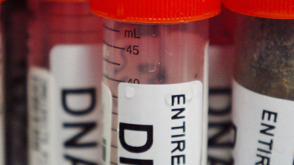 Arrest in 1999 Escondido Kidnap, Rape Cold Case – NBC New York