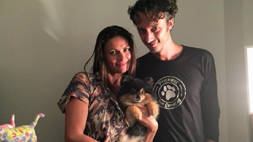 dog returned bk