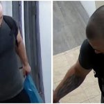 fallarino burglary thief