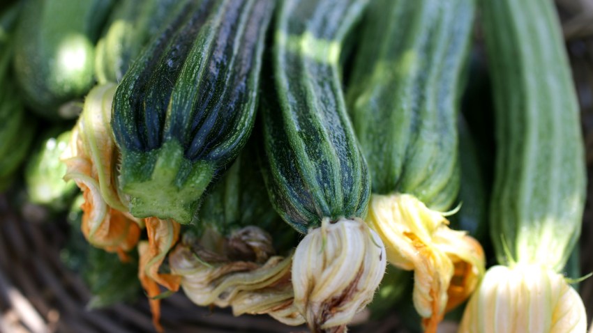 farm to table2