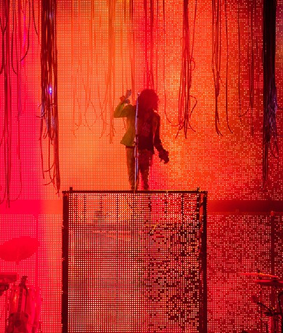 flaming lips (1)