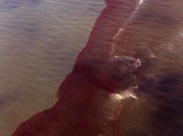 gulf spill slick-640
