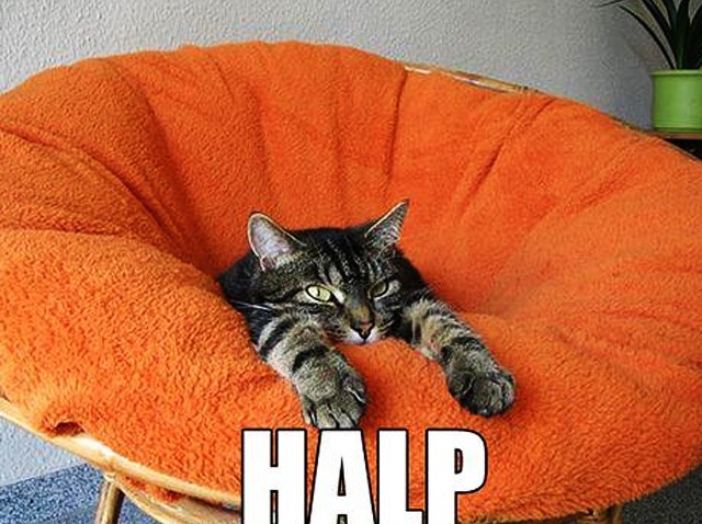 halp1122