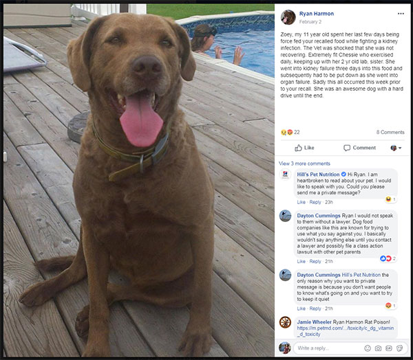 Pet Owners Say Their Dogs Are Sick, Dying After Eating Recalled Hill’s