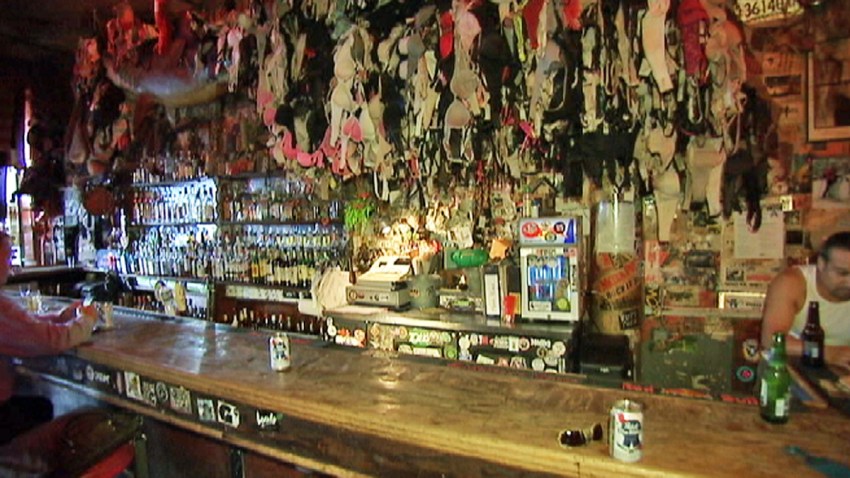 hogs heifer bar
