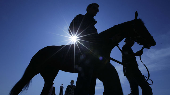 Horse Racing maryland