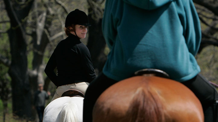 horsey central park