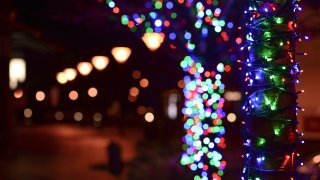 Multi-colored holiday lights stringed on trees.