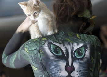 kittens23