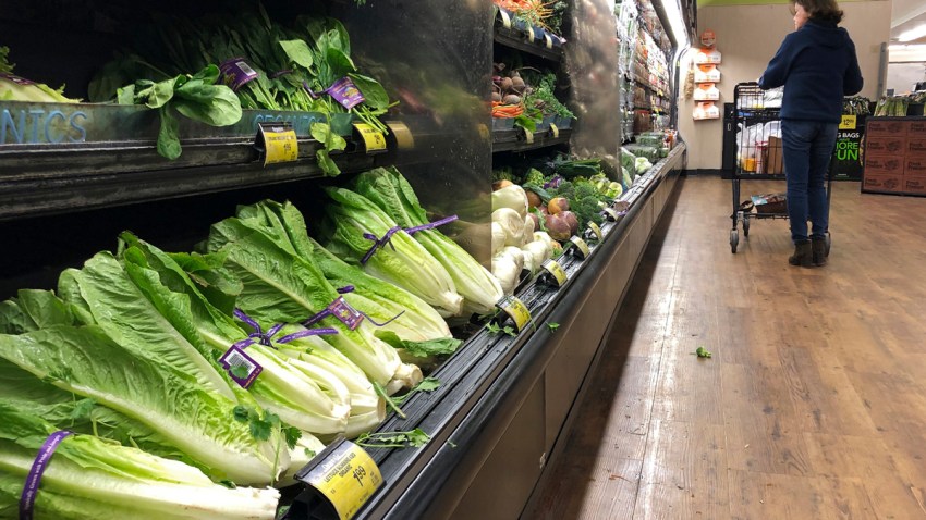 Lettuce Outbreak