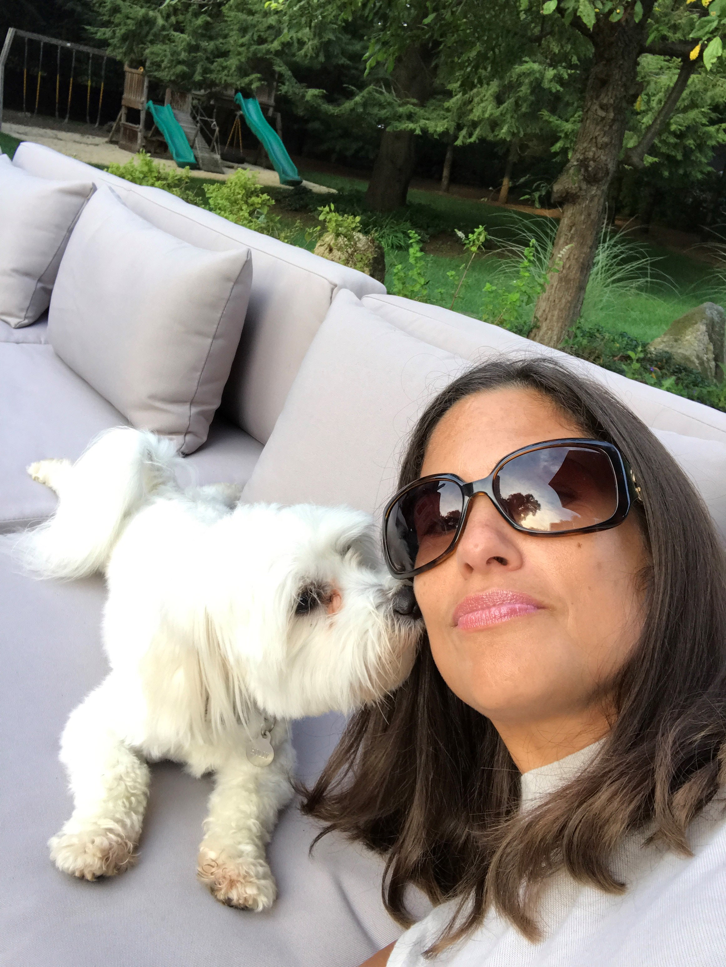 Weinstein deformity stevegruber disturbing humiliated NBC 4 Anchors and Reporters Celebrate Their Pets Ahead of Clear the Shelters – NBC New York