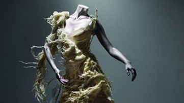 mcqueen-met-exhibit-preview