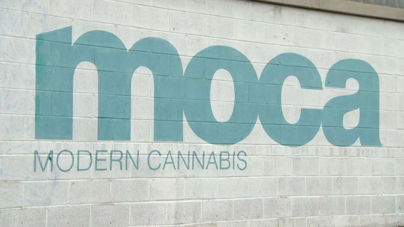 moca dispensary