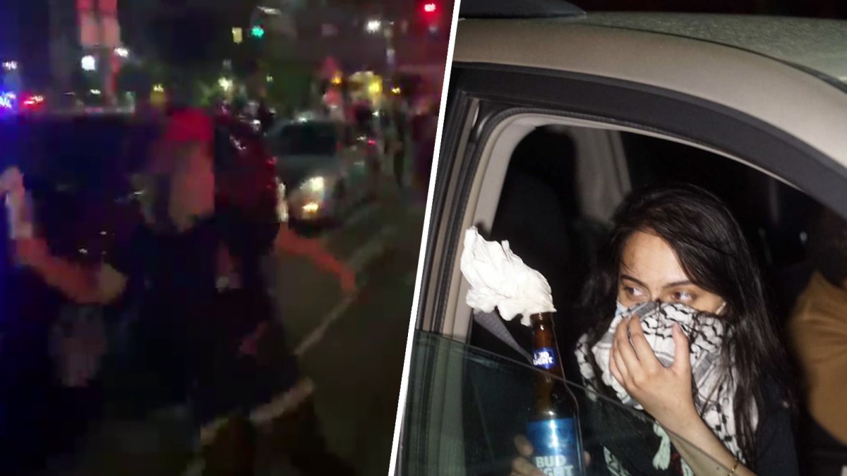 2 Lawyers, Upstate Woman With Criminal History Charged in NYPD