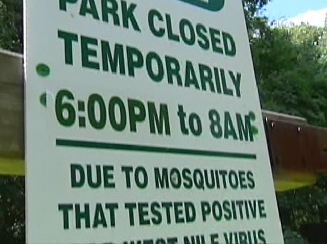 mosquitoes2