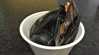 mussels_1200