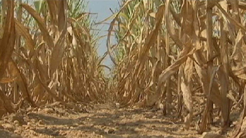 new jersey drought