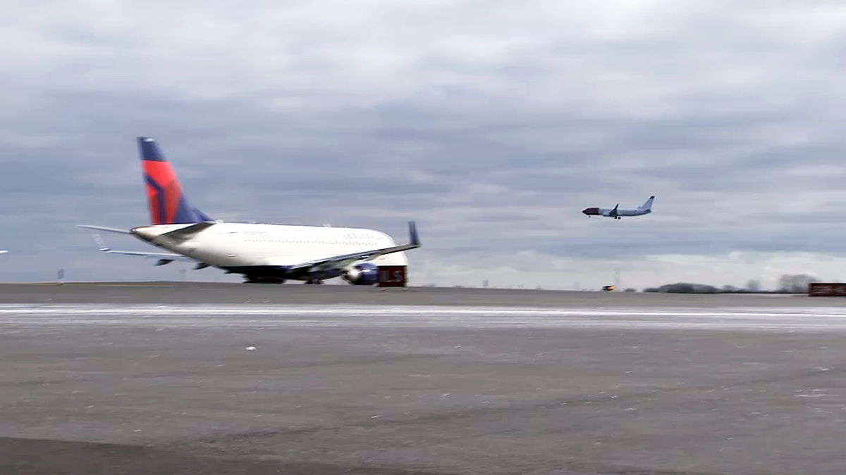 ITeam 10 Years After ‘Miracle on Hudson,’ More Than 500 Bird Strikes Reported at NYCArea