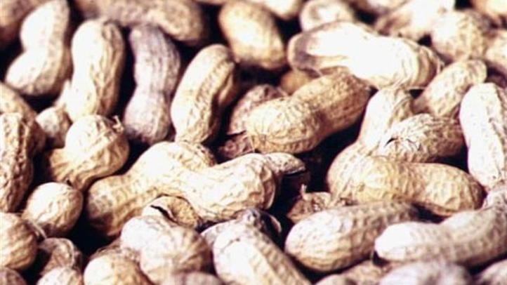 peanuts_722x406_2151846599.jpg