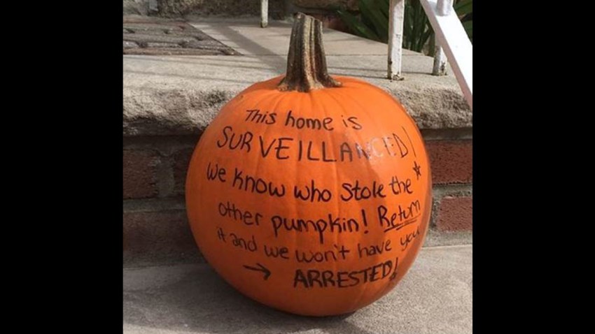 pumpkin___thief