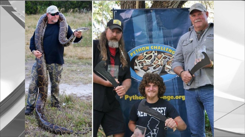python challenge fwc
