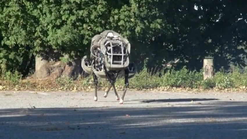 The Mechanically Perverted Robot On The Road