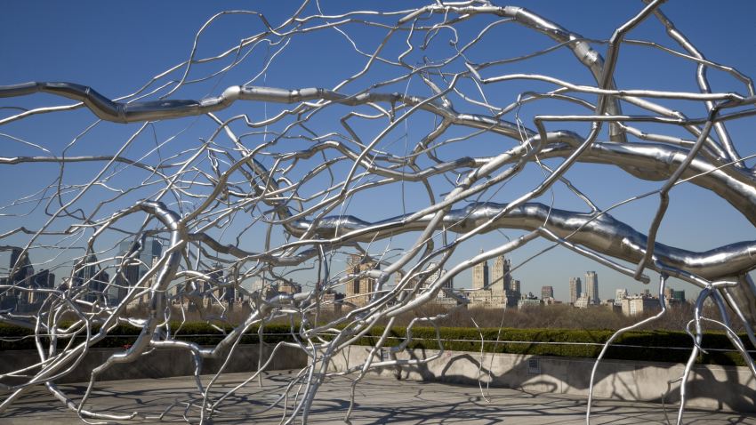 04 27 09 roxy paine met museum roof garden maelstrom